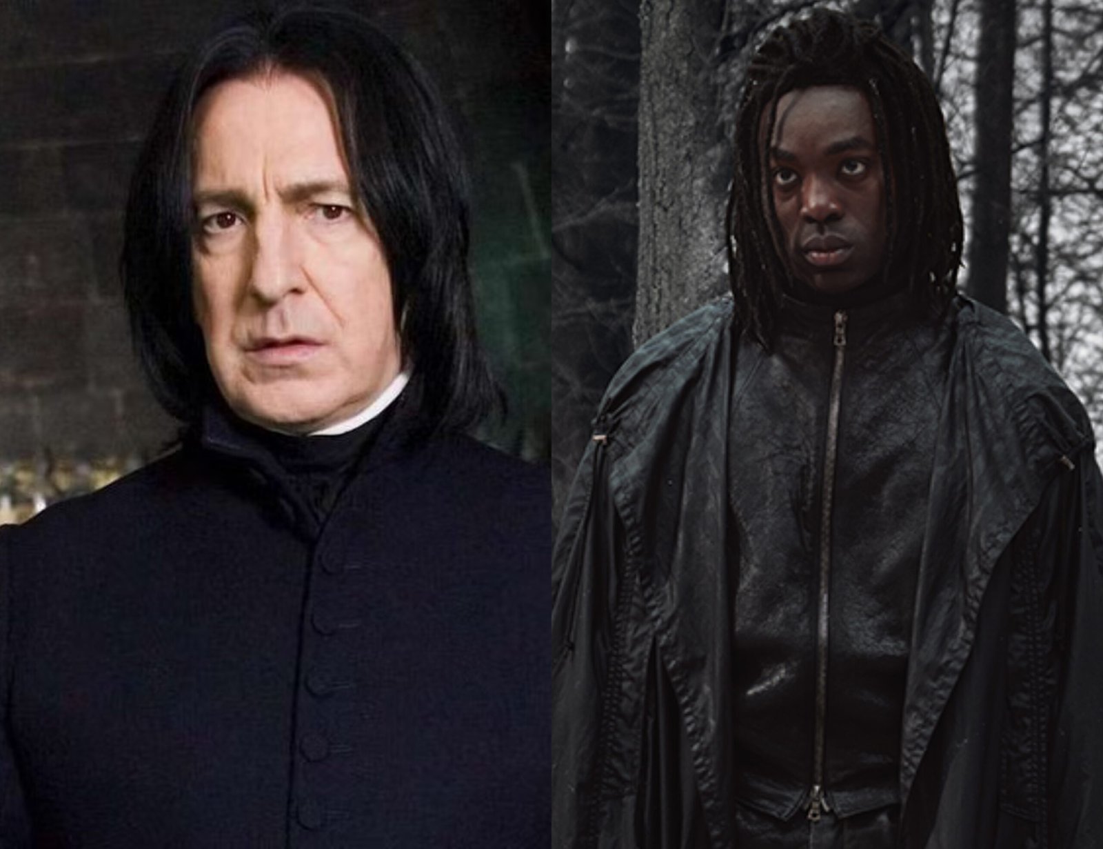 Harry Potter nueva serie