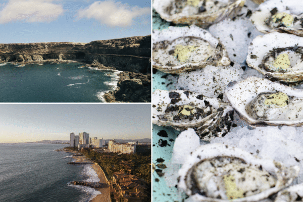 La Paz, festival ostión