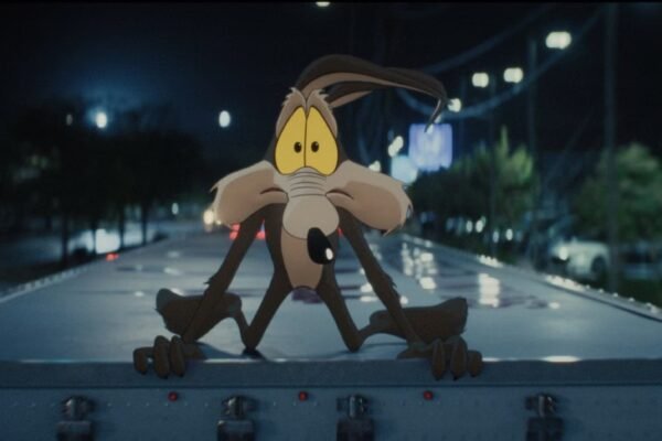 Coyote VS ACME película