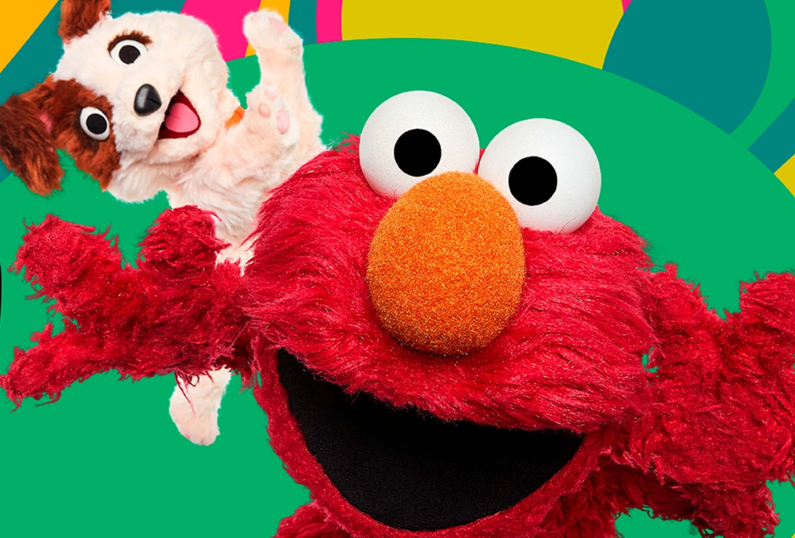 Carrera Plaza Sésamo Elmo 2026