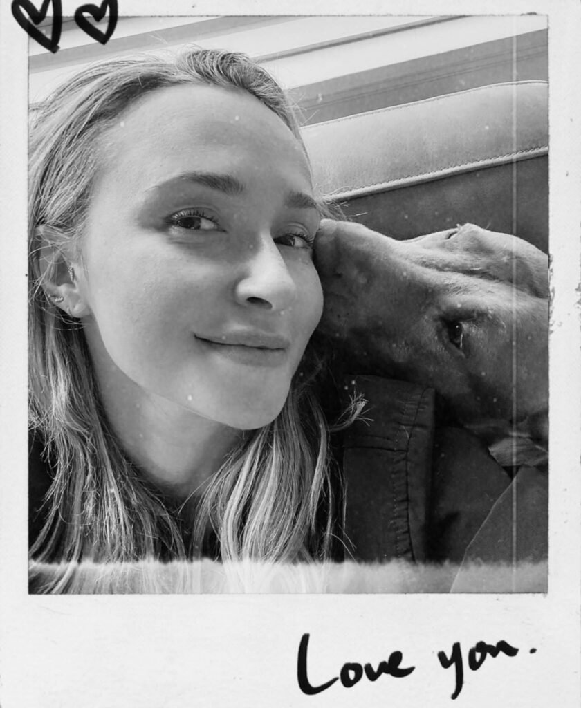 Hayden Panettiere